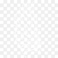 翅膀-空若网 翅膀-空若网