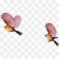 ����ƺ�ɫ���С��-������