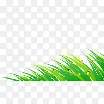 手绘小草-空若网 手绘小草-空若网