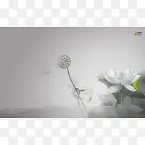 ��ɫ�ɻ�Ψ��ʱ��-������