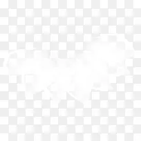 白色荷花花瓣-空若网 白色荷花花瓣-空若网