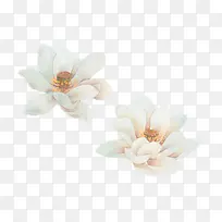 白色荷花装饰-空若网 白色荷花装饰-空若网