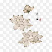 白色古风莲花手绘-空若网 白色古风莲花手绘-空若网