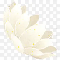 手绘白色文艺莲花-空若网 手绘白色文艺莲花-空若网