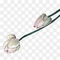 手绘文艺白色莲花-空若网 手绘文艺白色莲花-空若网