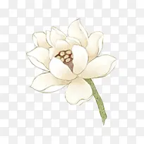 �ֻ��ɫ��������-������