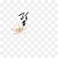 手绘白色粉色莲花-空若网 手绘白色粉色莲花-空若网