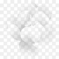 白色手绘莲花装饰-空若网 白色手绘莲花装饰-空若网