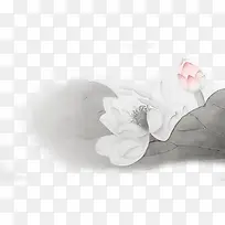 清新白色手绘莲花-空若网 清新白色手绘莲花-空若网