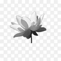 白色莲花水墨画-空若网 白色莲花水墨画-空若网