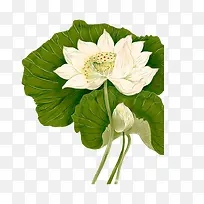 ��ɫ�����ֻ�-������