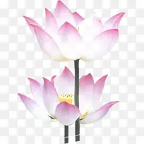 粉色水彩手绘荷花-空若网 粉色水彩手绘荷花-空若网