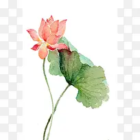 粉色水彩荷花壁纸-空若网 粉色水彩荷花壁纸-空若网