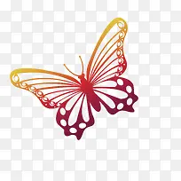 彩色蝴蝶-空若网 彩色蝴蝶-空若网