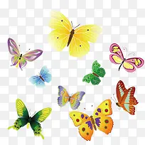 ��ɫ����ʸ���ز�-������