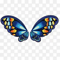 蝴蝶翅膀-空若网 蝴蝶翅膀-空若网