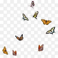 �ֻ����-������