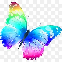 亮眼的蝴蝶-空若网 亮眼的蝴蝶-空若网