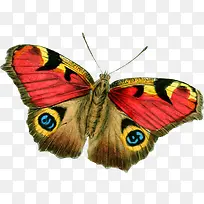 ����-������