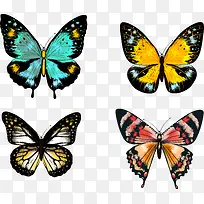 手绘蝴蝶-空若网 手绘蝴蝶-空若网