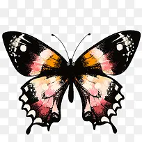 手绘蝴蝶-空若网 手绘蝴蝶-空若网
