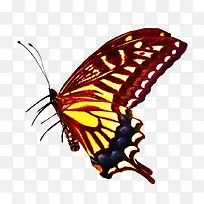 �����-������