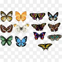 �ֻ����-������