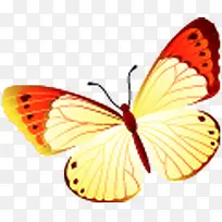 手绘彩色飞舞蝴蝶-空若网 手绘彩色飞舞蝴蝶-空若网