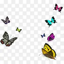 彩色唯美蝴蝶手绘-空若网 彩色唯美蝴蝶手绘-空若网