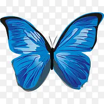 蓝色的蝴蝶-空若网 蓝色的蝴蝶-空若网