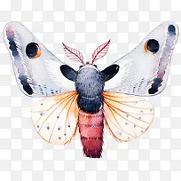 ��ɫ�ֻ��������-������