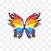 ��ɫ�ſ����-������