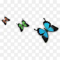 彩色绚丽手绘蝴蝶-空若网 彩色绚丽手绘蝴蝶-空若网