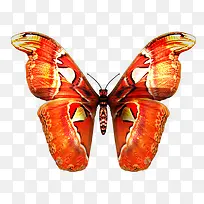 ����-������