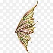 ���²�ɫ�������-������