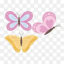 昆虫-空若网 昆虫-空若网