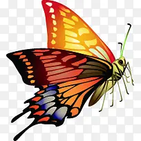 手绘彩色春天蝴蝶-空若网 手绘彩色春天蝴蝶-空若网