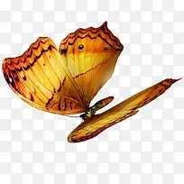 ����-������