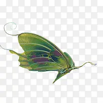 蝴蝶-空若网 蝴蝶-空若网