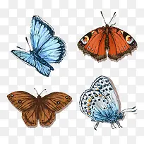 彩色蝴蝶背景-空若网 彩色蝴蝶背景-空若网