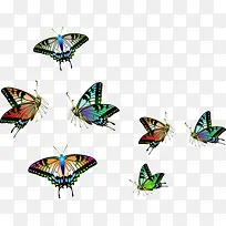 ����ĺ����ز�-������