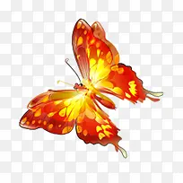 蝴蝶-空若网 蝴蝶-空若网