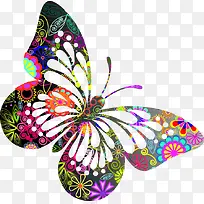 彩色个性时尚蝴蝶-空若网 彩色个性时尚蝴蝶-空若网