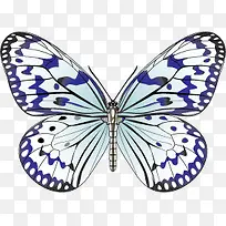 彩色蝴蝶矢量素材-空若网 彩色蝴蝶矢量素材-空若网