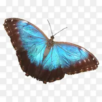 ��ɫ����-������