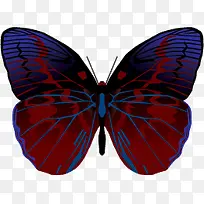 彩色蝴蝶矢量素材-空若网 彩色蝴蝶矢量素材-空若网