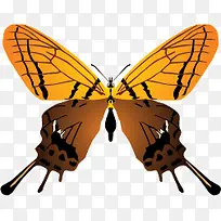 ��ɫ����ʸ���ز�-������