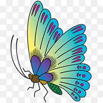 卡通彩色可爱蝴蝶-空若网 卡通彩色可爱蝴蝶-空若网