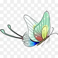 手绘卡通蝴蝶彩色-空若网 手绘卡通蝴蝶彩色-空若网