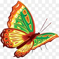 手绘彩色蝴蝶无框画-空若网 手绘彩色蝴蝶无框画-空若网